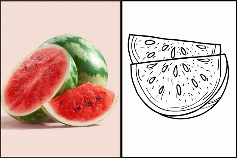 Watermelon Coloring Pages