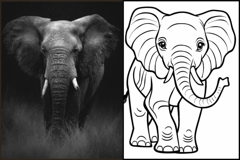 Elephant Coloring Pages