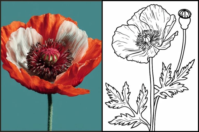 Poppy Coloring Page