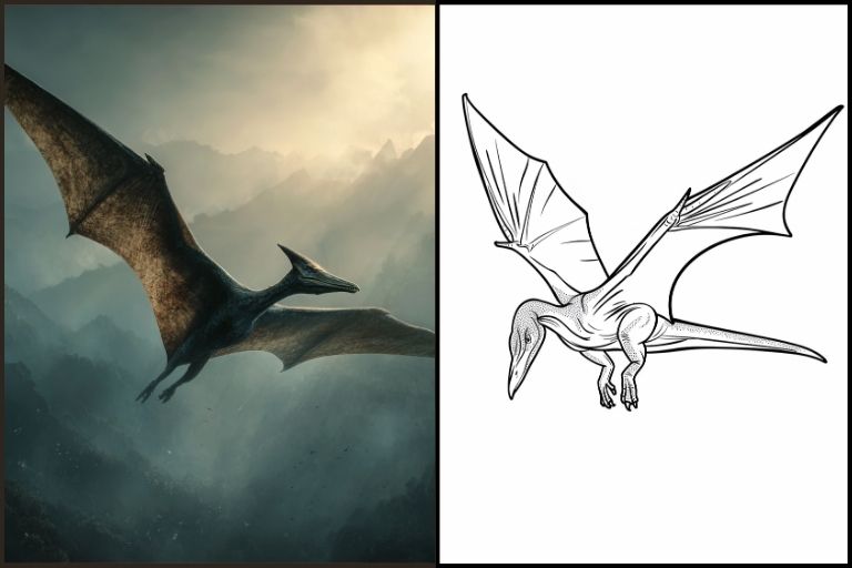 Pterodactyl Coloring Pages